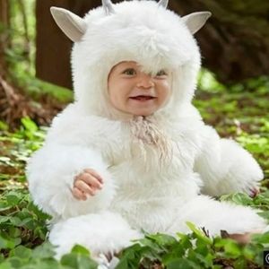 Costume by Pottery Barn Kids